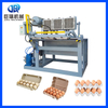 Customizable Multi-Functional Egg Tray Making Machine Production Line