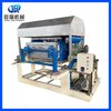 Egg Tray Machine Production with Biodegradable Additive Compatibility